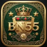 BN55