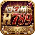 H789 Game