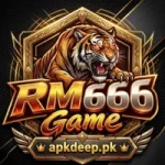 RM666 Game